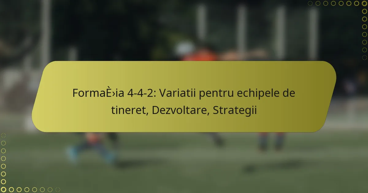 Formația 4-4-2: Variatii pentru echipele de tineret, Dezvoltare, Strategii